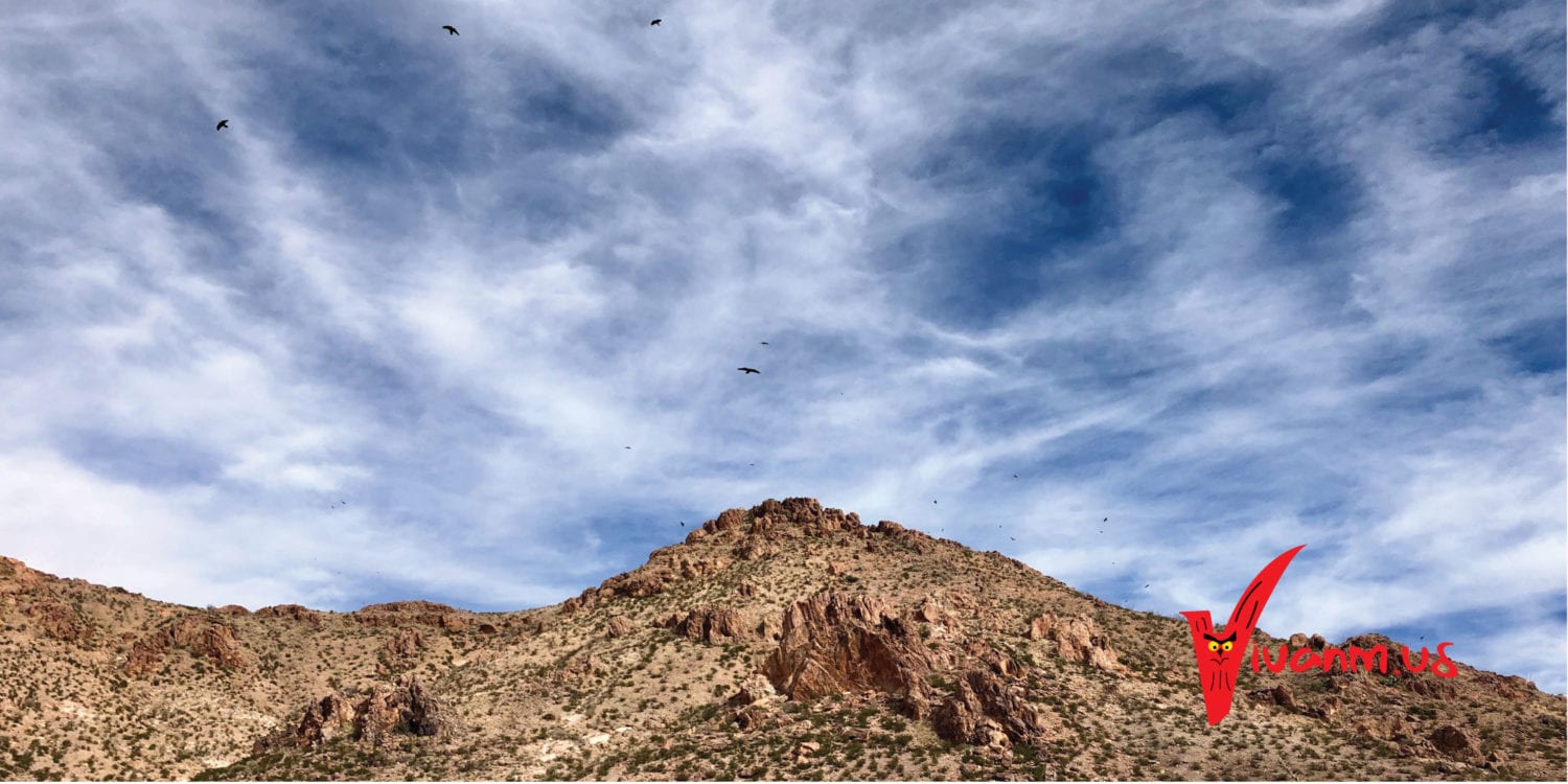 Picacho Peak Views Birds