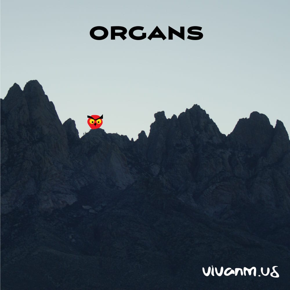 Organ Mountains